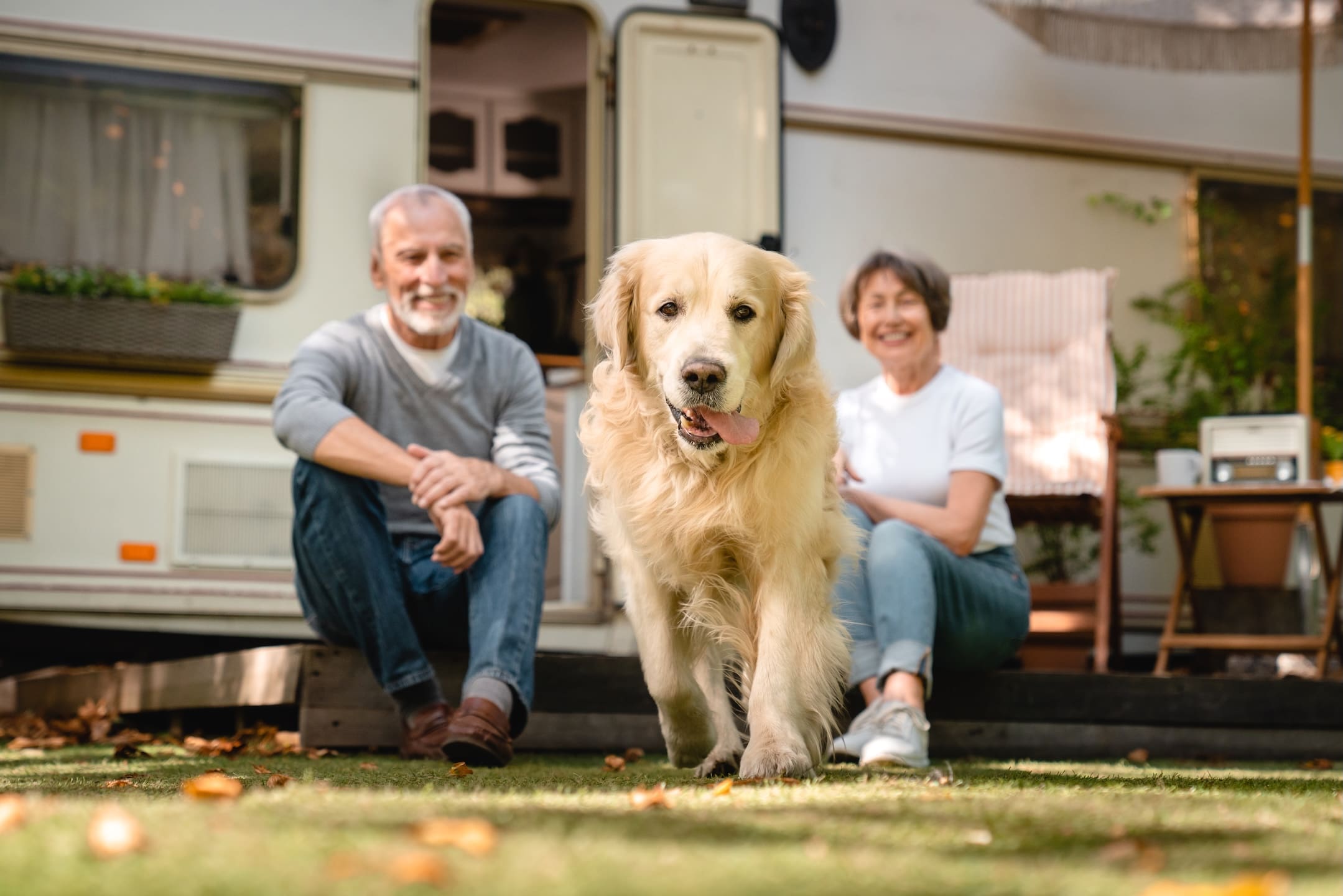 RVing with your Dog
