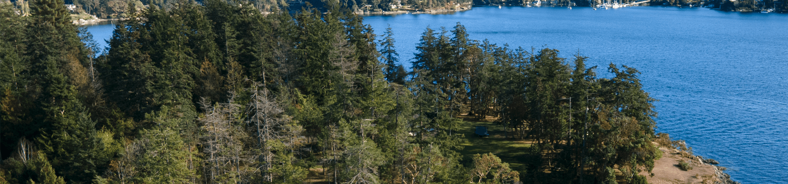 Top Camping Dangers in British Columbia