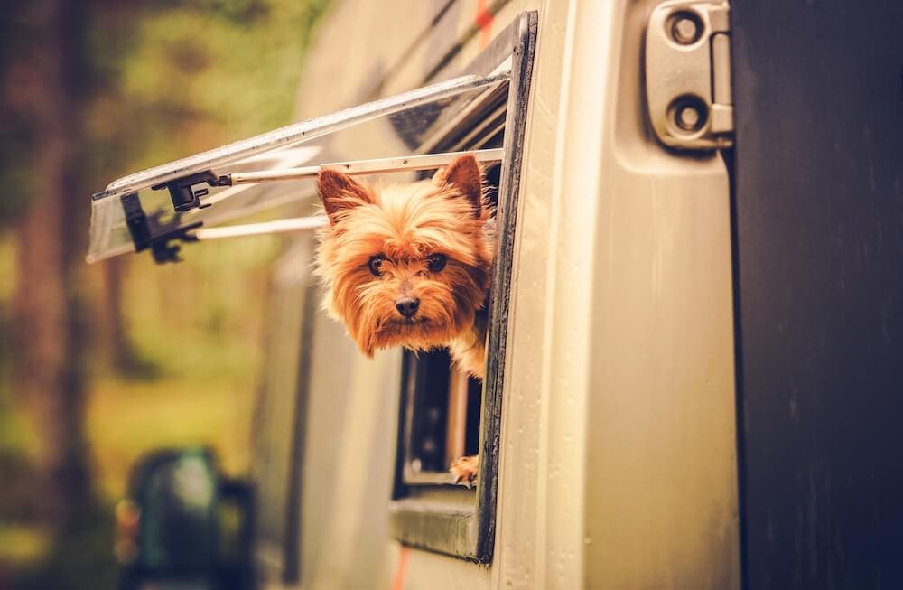 Canada's Top Pet-Friendly RV Parks