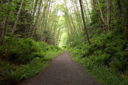 Galloping Goose Trail